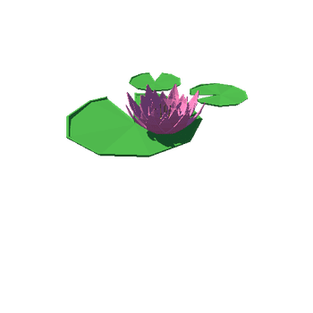 waterlily01