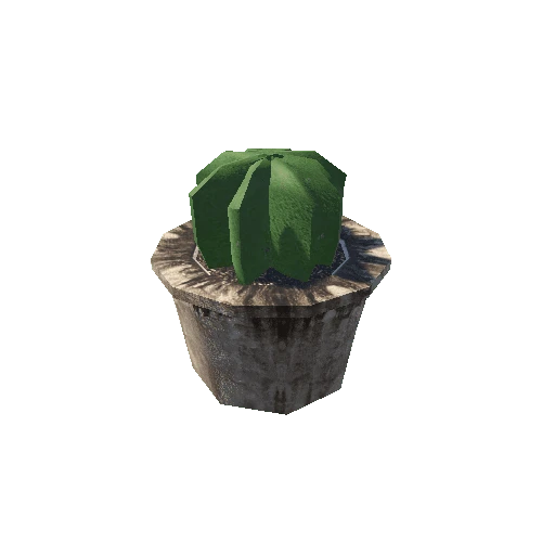 SM_Cactus