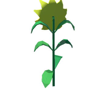 SunFlower1_1