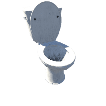Toilet_1