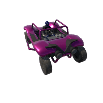 Buggy_05