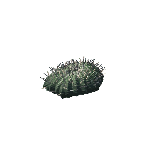 CactiSmall_1