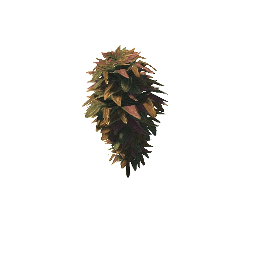 DesertPlantsBush2_1