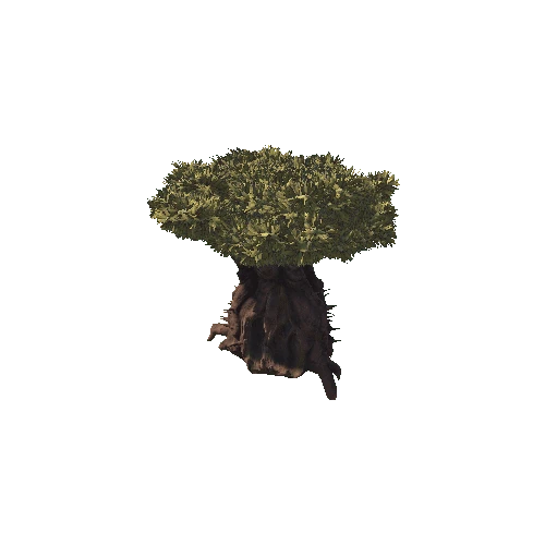 TreeDesert1_1