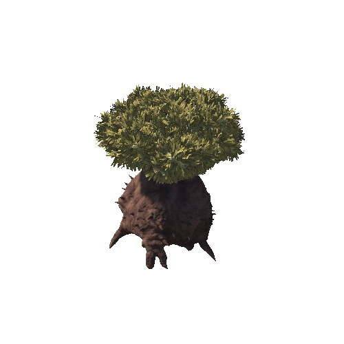 TreeDesert1_2