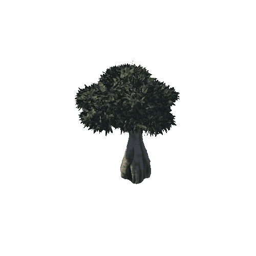 TreeDesert2_2