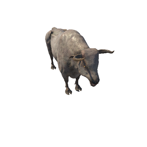 Ancient_Bull_skin3