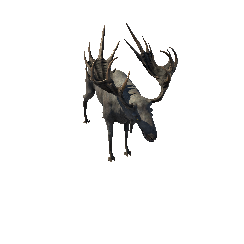 Ancient_Moose_skin2