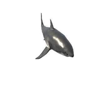 White_Shark_Mesh