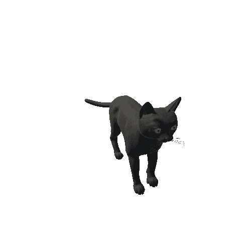 Bombay_Cat_HIghPoly