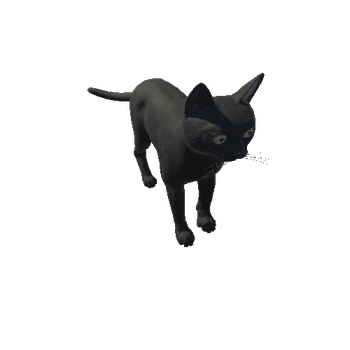 Bombay_Cat_IP