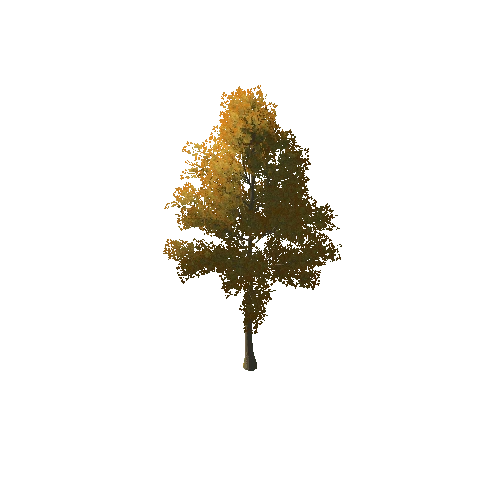 Thin_Tree_1A3