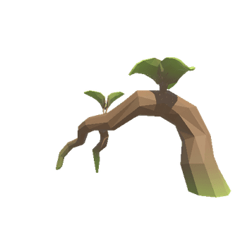 Jungle_Root