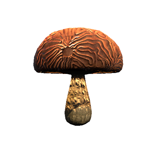 Mushroom01_Brown