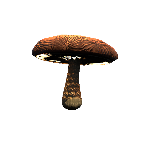 Mushroom02_Brown