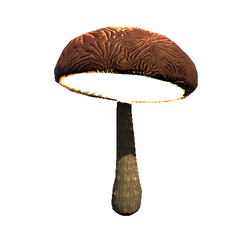 Mushroom03_Brown