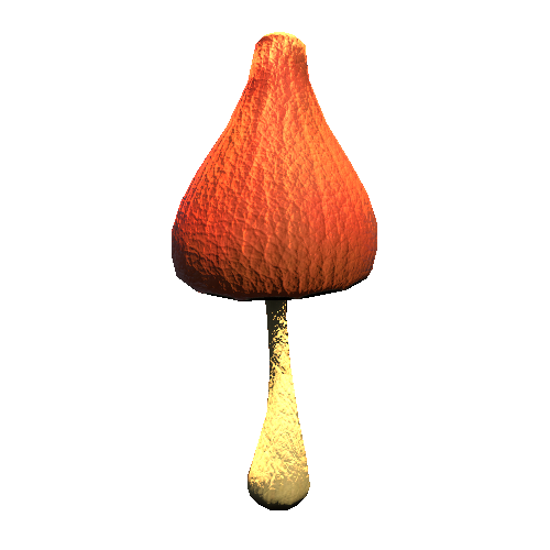 Mushroom04_Brown