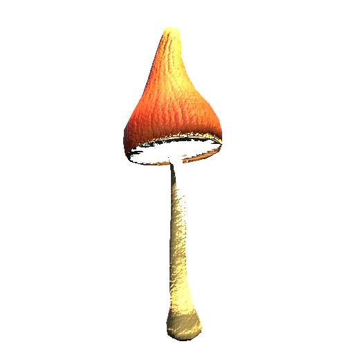 Mushroom05_Brown