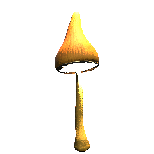 Mushroom05_Red