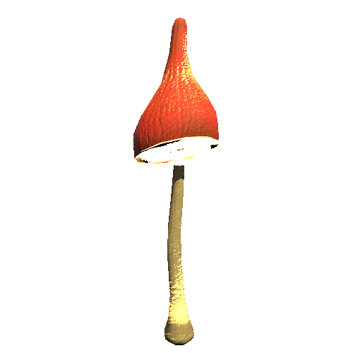 Mushroom07_Brown