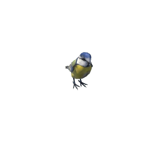 BlueTit