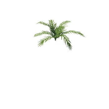 SM_plant_jungle_a_06