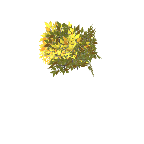 bush_yellow_1