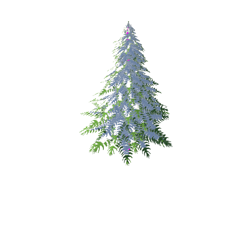 tree_pine_snow