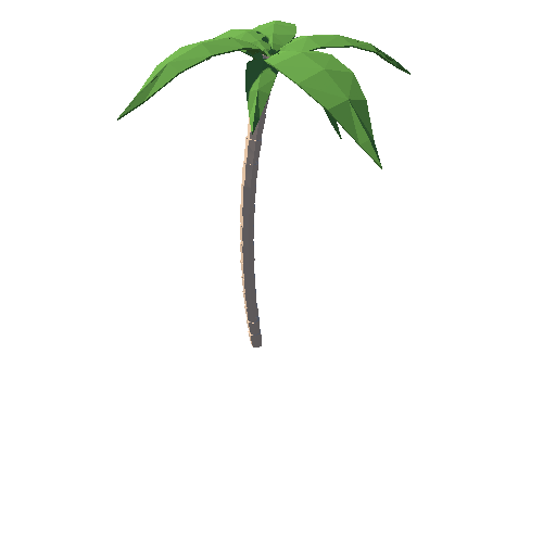 SM_palm_tree_02