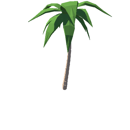 SM_palm_tree_05