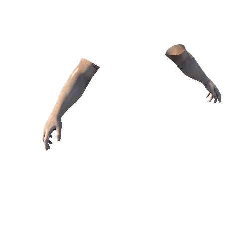 SK_Hands_1