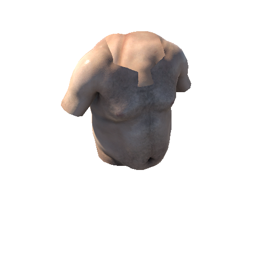 SK_Torso