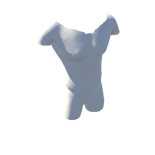 SK_Torso_1