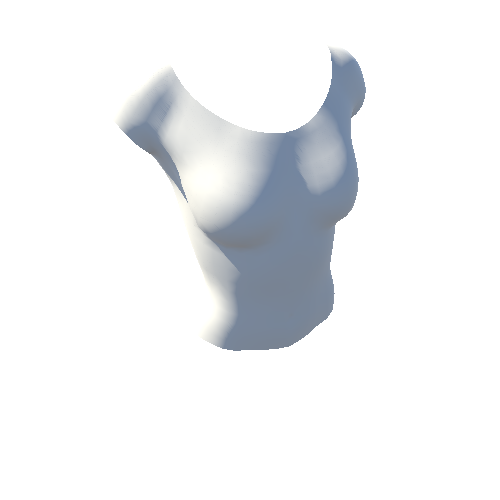 SK_fe_body_torso