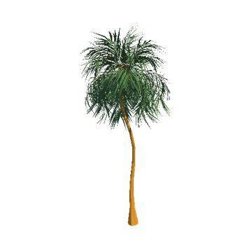 arst_palm_1