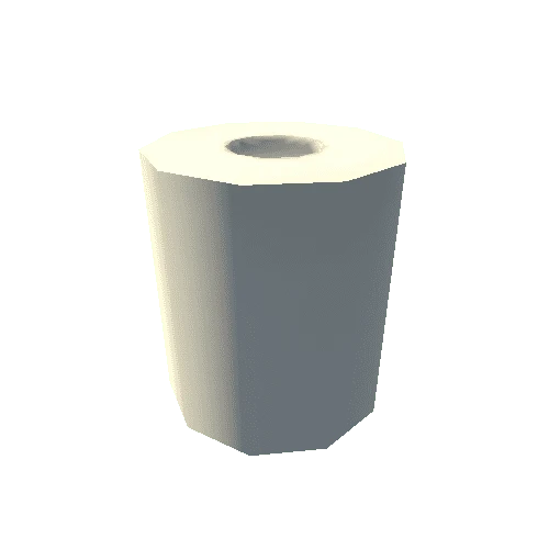 Bathroom_ToiletPaper_1