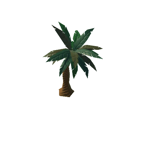 Beach_Palm1