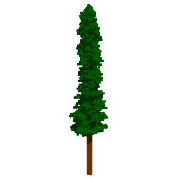 Tree12_1