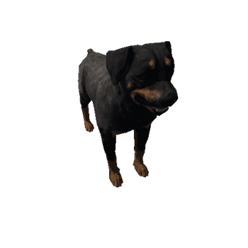 Rottweiler_LowPoly