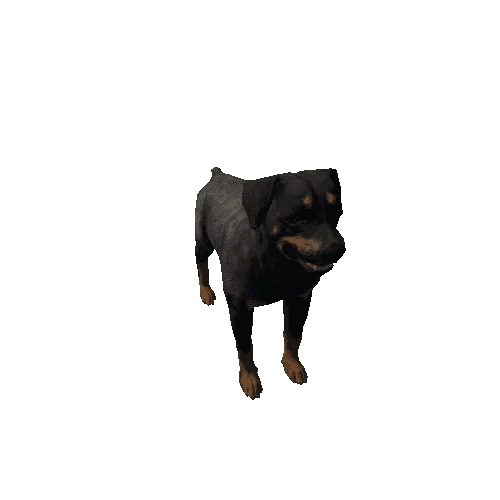 Rottweiler_LowPoly