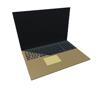 Laptop13