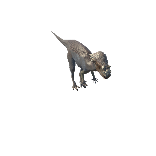 Pachycephalosaurus_LowPoryInPlace