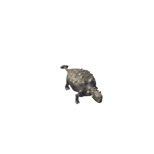 Ankylosaurus_MiddlePoly