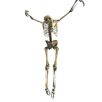 Skeleton_Props_09