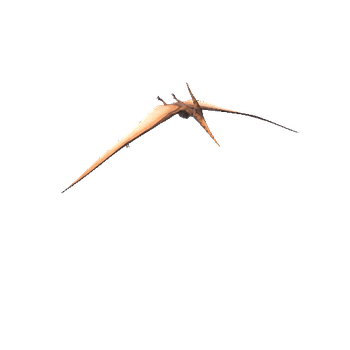 pteranodon@fly