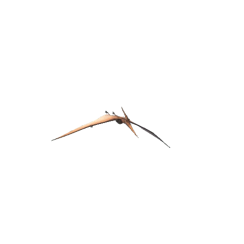 pteranodon@flyleft