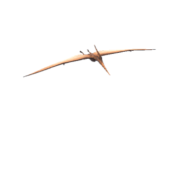 pteranodon@glide