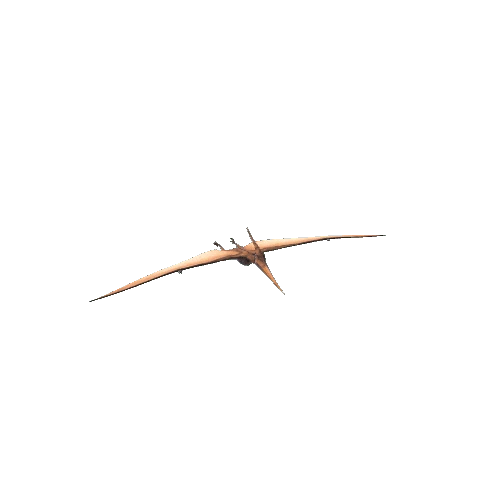 pteranodon@glide