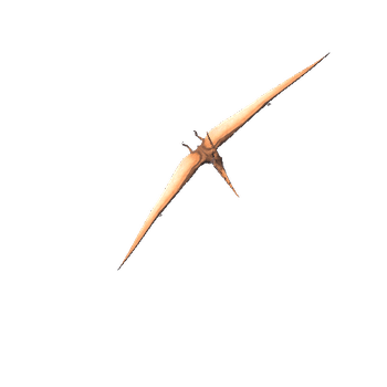 pteranodon@glideright Pteranodon Animated