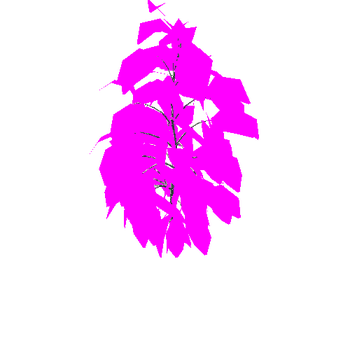 BirchTree01